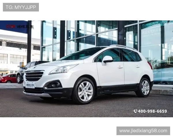 2008_3008罗兰加洛斯版 上海车展上市