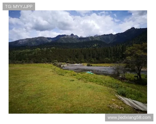 ✅体育直播🏆世界杯直播🏀NBA直播⚽- 西藏墨脱举办茶树修剪与技能交流活动 助力文旅融合- sports