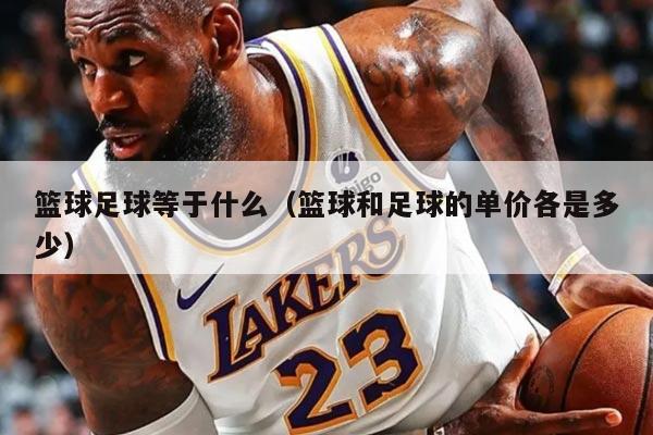篮球足球等于什么(篮球和足球的单价各是多少)
