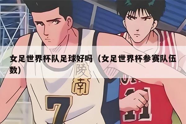 女足世界杯队足球好吗（女足世界杯参赛队伍数）