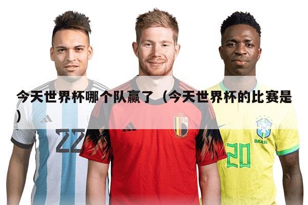 今天世界杯哪个队赢了(今天世界杯的比赛是)