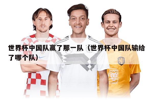 世界杯中国队赢了那一队（世界杯中国队输给了哪个队）