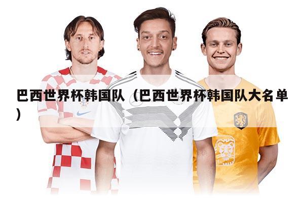 巴西世界杯韩国队（巴西世界杯韩国队大名单）