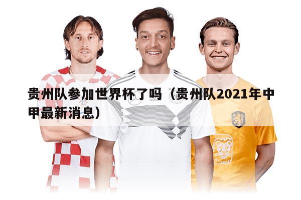 贵州队参加世界杯了吗（贵州队2021年中甲最新消息）