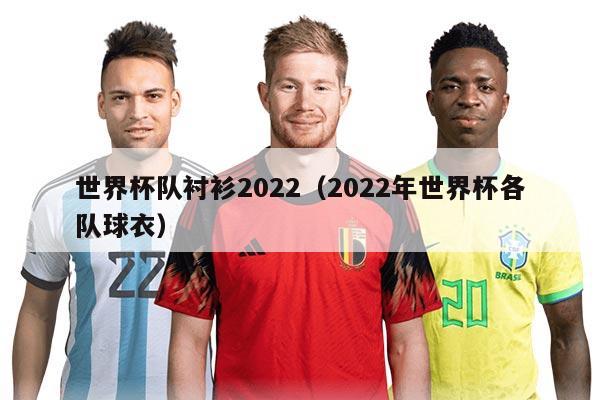 世界杯队衬衫2022（2022年世界杯各队球衣）
