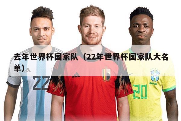 去年世界杯国家队（22年世界杯国家队大名单）