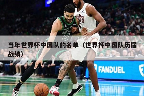 当年世界杯中国队的名单（世界杯中国队历届战绩）