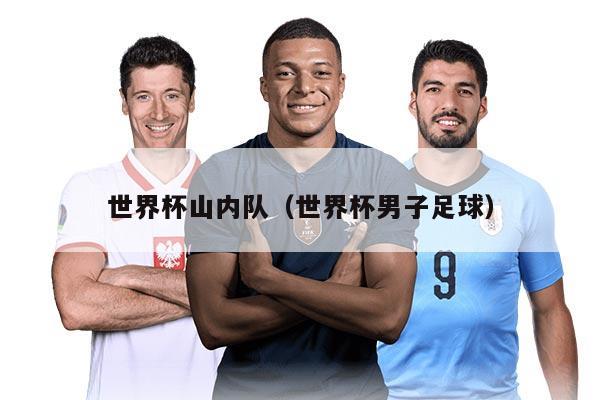 世界杯山内队（世界杯男子足球）