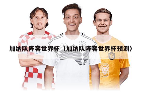 加纳队阵容世界杯（加纳队阵容世界杯预测）