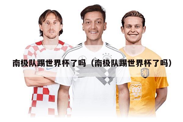 南极队踢世界杯了吗（南极队踢世界杯了吗）
