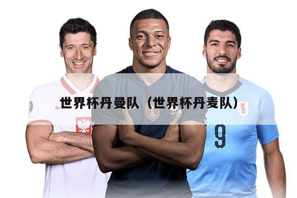 世界杯丹曼队（世界杯丹麦队）