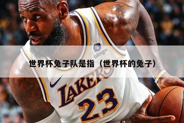 世界杯兔子队是指（世界杯的兔子）