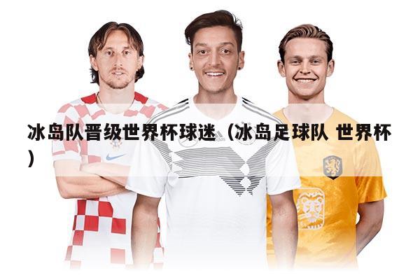冰岛队晋级世界杯球迷（冰岛足球队 世界杯）