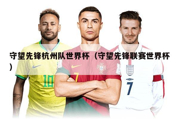 守望先锋杭州队世界杯（守望先锋联赛世界杯）