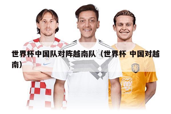 世界杯中国队对阵越南队（世界杯 中国对越南）