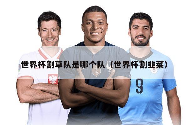 世界杯割草队是哪个队（世界杯割韭菜）