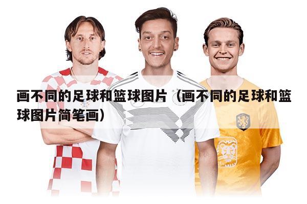 画不同的足球和篮球图片（画不同的足球和篮球图片简笔画）