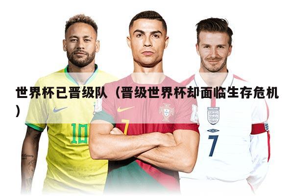 世界杯已晋级队（晋级世界杯却面临生存危机）
