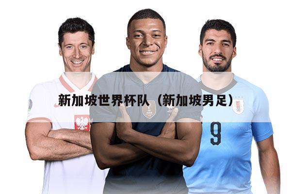 新加坡世界杯队（新加坡男足）