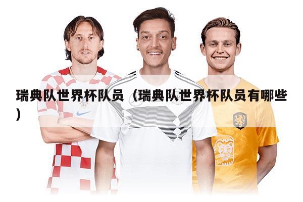 瑞典队世界杯队员（瑞典队世界杯队员有哪些）