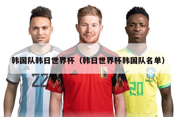 韩国队韩日世界杯（韩日世界杯韩国队名单）