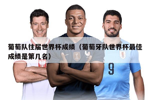 葡萄队往届世界杯成绩（葡萄牙队世界杯最佳成绩是第几名）