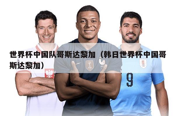 世界杯中国队哥斯达黎加（韩日世界杯中国哥斯达黎加）