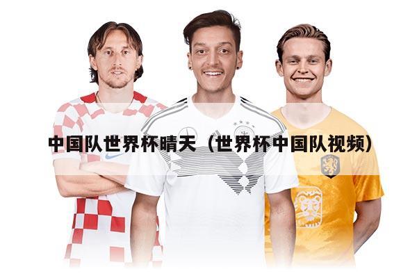中国队世界杯晴天（世界杯中国队视频）