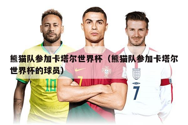 熊猫队参加卡塔尔世界杯（熊猫队参加卡塔尔世界杯的球员）