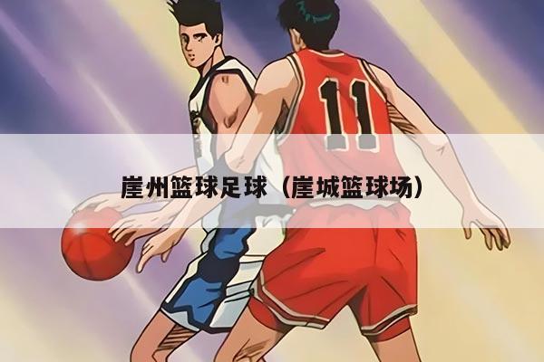 崖州篮球足球（崖城篮球场）