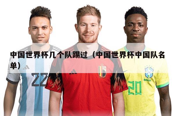 中国世界杯几个队踢过（中国世界杯中国队名单）
