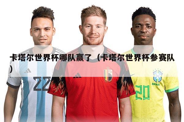 卡塔尔世界杯哪队赢了（卡塔尔世界杯参赛队）