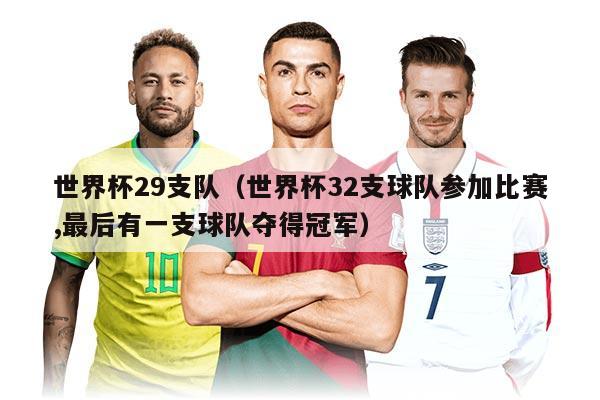 世界杯29支队（世界杯32支球队参加比赛,最后有一支球队夺得冠军）