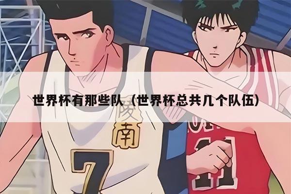 世界杯有那些队（世界杯总共几个队伍）