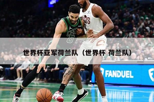 世界杯亚军荷兰队（世界杯 荷兰队）