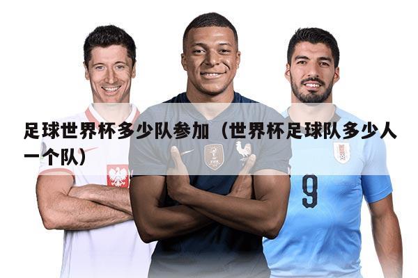 足球世界杯多少队参加(世界杯足球队多少人一个队)