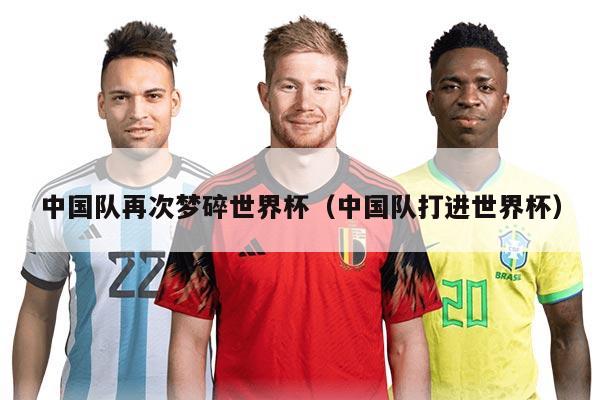 中国队再次梦碎世界杯（中国队打进世界杯）