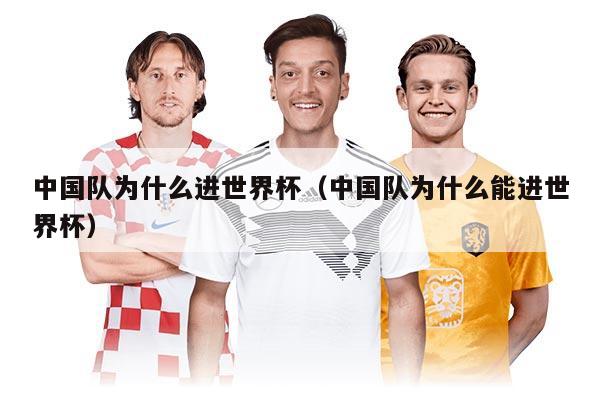 中国队为什么进世界杯（中国队为什么能进世界杯）