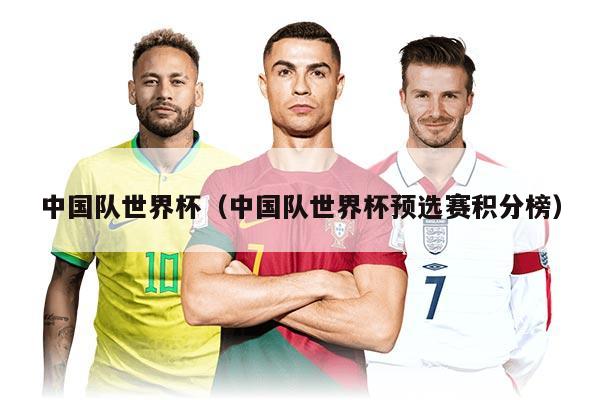 中国队世界杯（中国队世界杯预选赛积分榜）