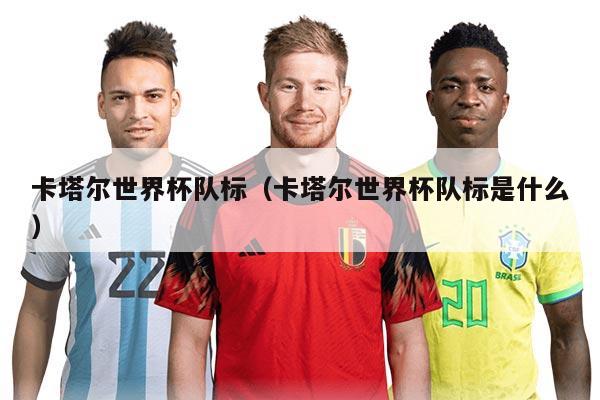 卡塔尔世界杯队标（卡塔尔世界杯队标是什么）