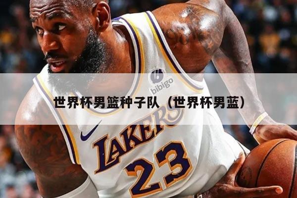 世界杯男篮种子队（世界杯男蓝）
