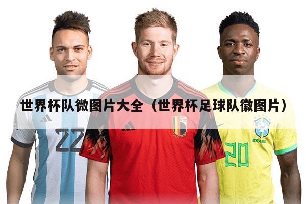 世界杯队微图片大全（世界杯足球队徽图片）