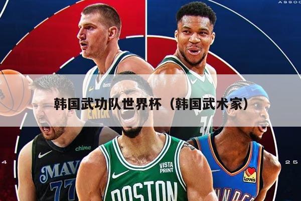 韩国武功队世界杯（韩国武术家）