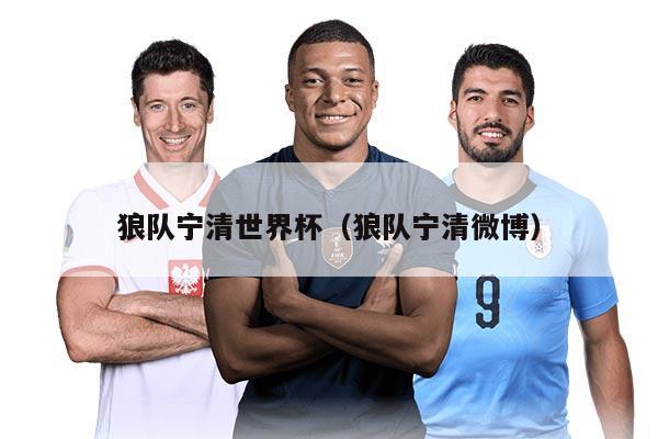 狼队宁清世界杯（狼队宁清微博）