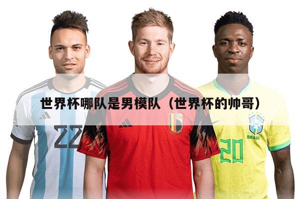 世界杯哪队是男模队（世界杯的帅哥）