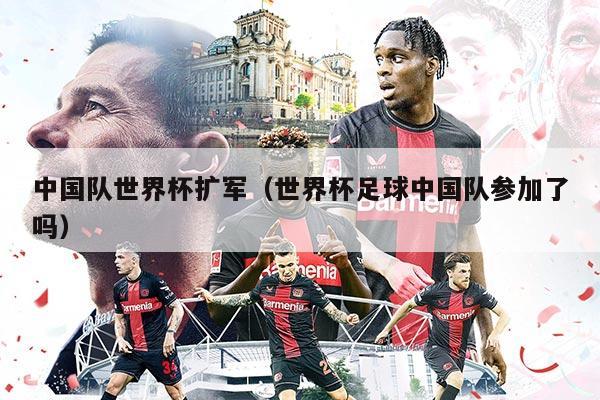 中国队世界杯扩军（世界杯足球中国队参加了吗）