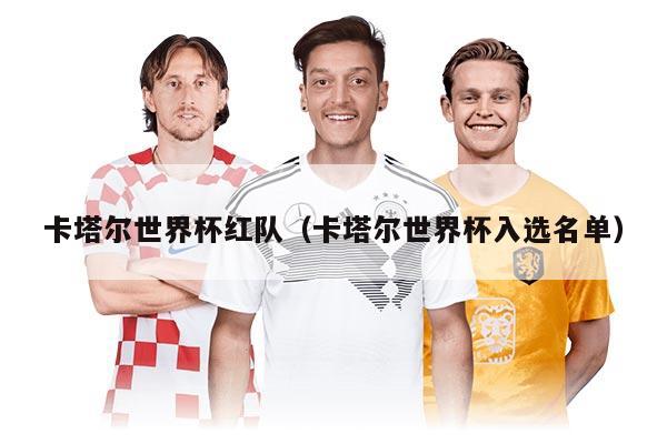 卡塔尔世界杯红队（卡塔尔世界杯入选名单）
