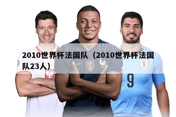 2010世界杯法国队（2010世界杯法国队23人）