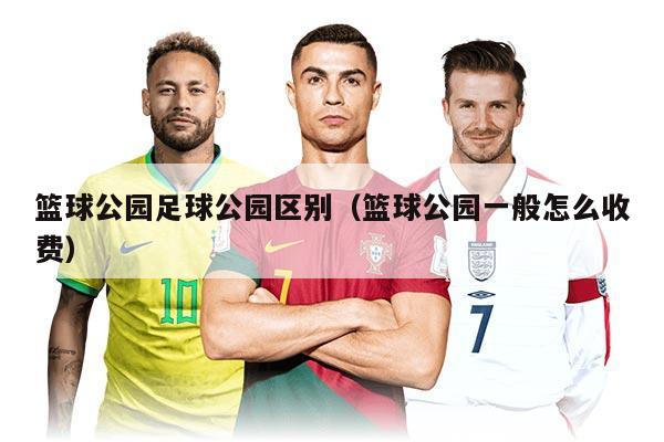 篮球公园足球公园区别（篮球公园一般怎么收费）