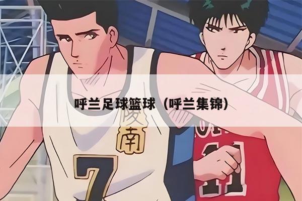 呼兰足球篮球（呼兰集锦）